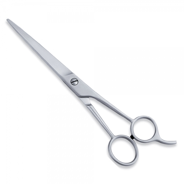 ECONOMY SCISSOR